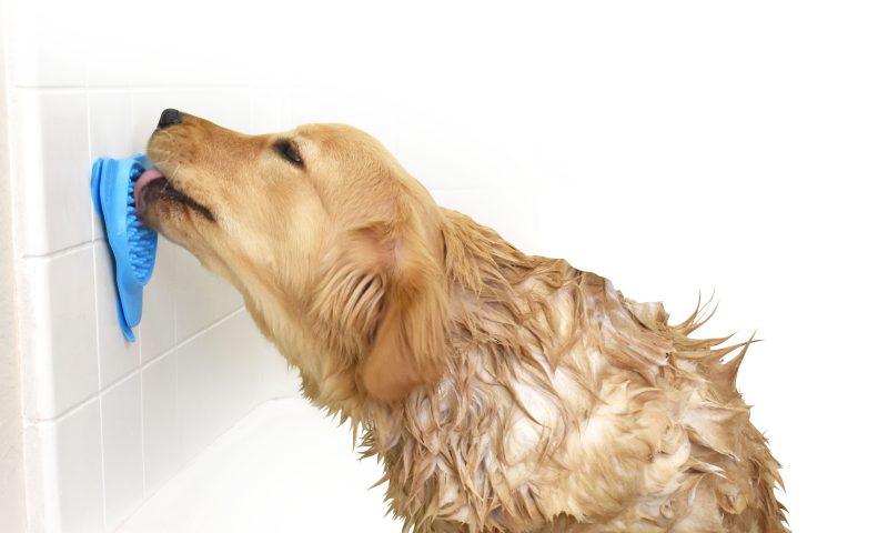 Rosewood teams up with Aquapaw for exclusive range