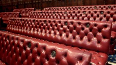 New legislation to allow RVCS to recognise European vet degrees