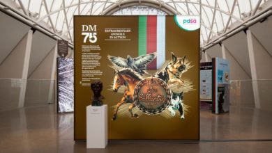 PDSA partners with National Army Museum for ‘Animal VC’ exhibition