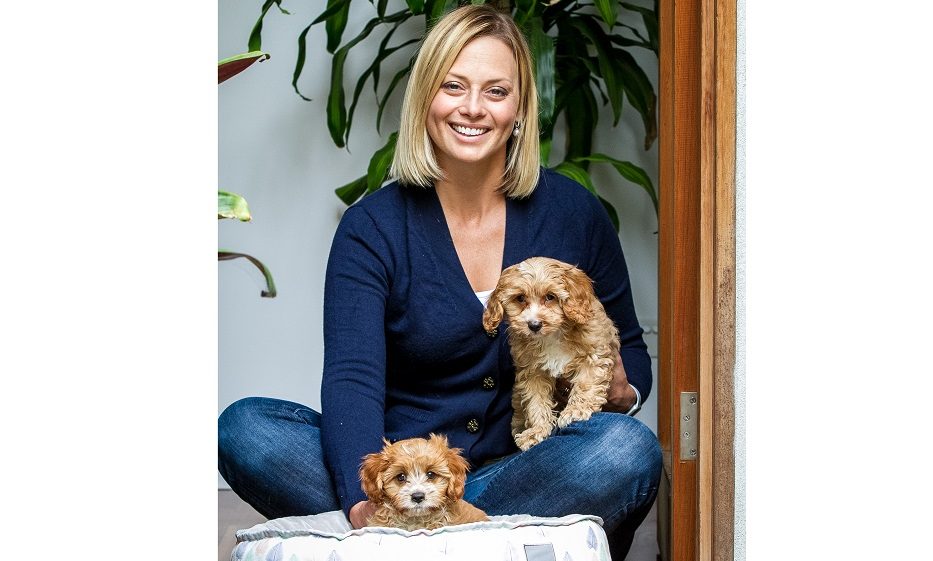 Whimzees to give free canine dental advice at Crufts