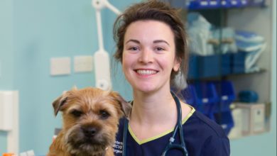 Glasgow pet emergency hospital expands facilities following £1.5m investment
