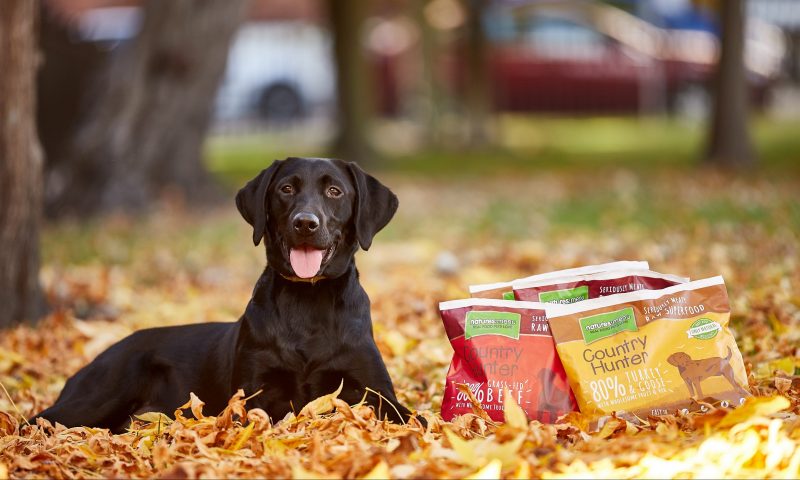 Natures Menu in top 100 of Sunday Times HSBC International Track 200