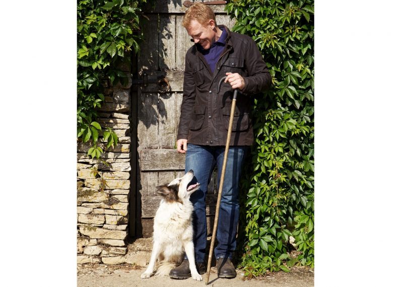 Only 42% of owners walk their dogs every day