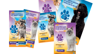 Adaptil and Feliway launch ‘Pet Anxiety Month’ in March