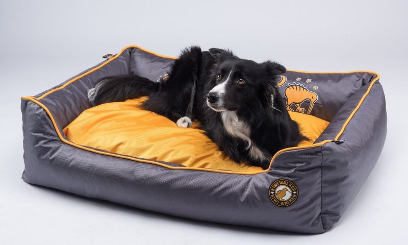 Verity & Voss become exclusive distributors for Kiwi Walker