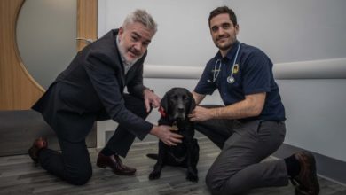 Warning as dog contracts ‘rare’ disease from slugs and snails
