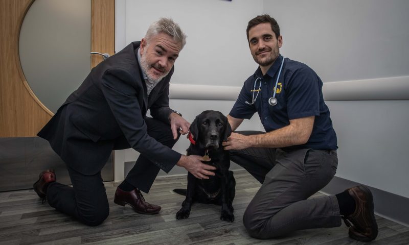 Warning as dog contracts ‘rare’ disease from slugs and snails