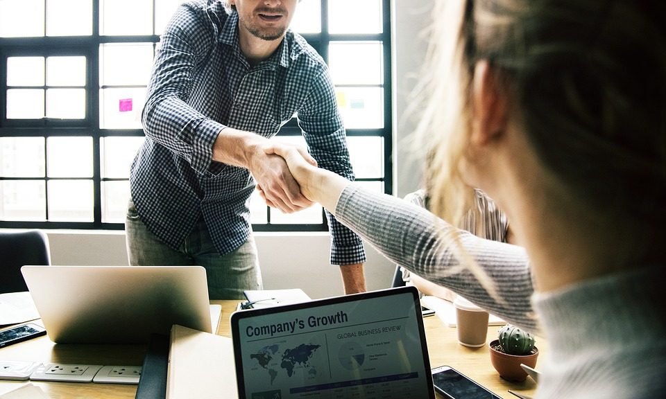 Wilsons Pet Food takes on Meg Morrison as head of sales