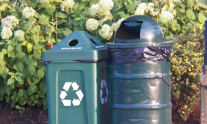 Can or carton? Pooch & Mutt’s response