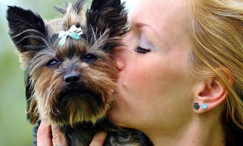 Almost a third of owners to spend Valentine’s Day with pet
