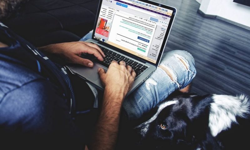 Rise in owners trusting internet advice over vets