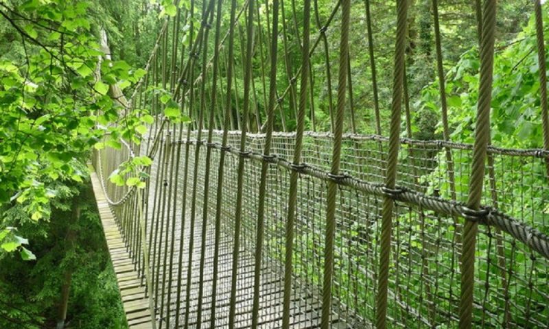 Vets criticise ITV for ‘lax animal welfare standards’