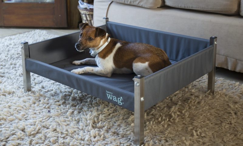 Henry Wag prepares for US expansion