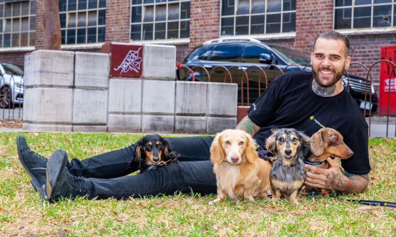 Entrepreneur launches platform to ‘stamp out’ puppy farms