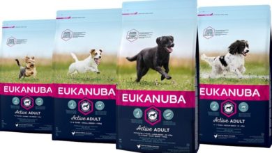 Eukanuba celebrates 50th year