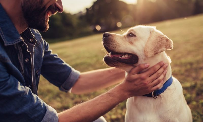 EUKANUBA survey reveals lifetime of love between owner and dog
