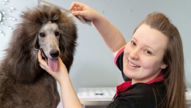 Valleys entrepreneur embarks on dog grooming venture