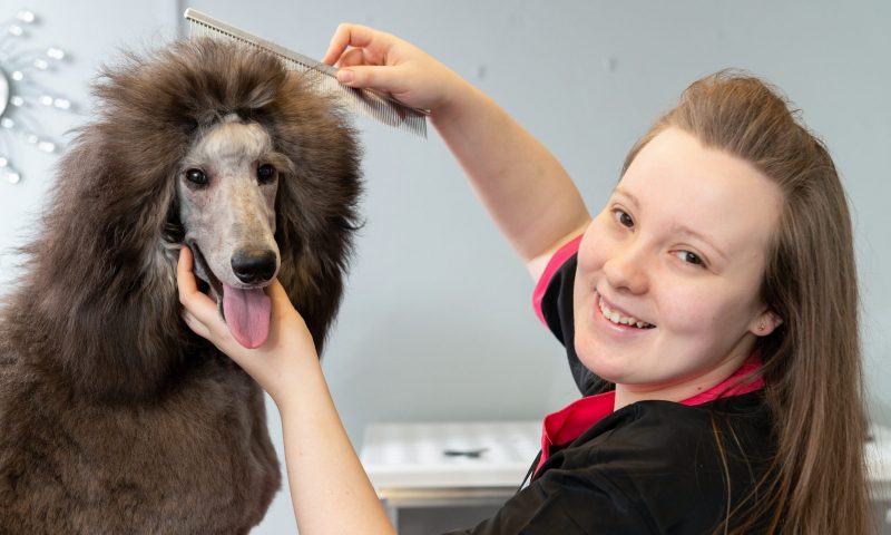 Valleys entrepreneur embarks on dog grooming venture