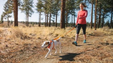 Ruffwear joins the Outdoor Industries Association