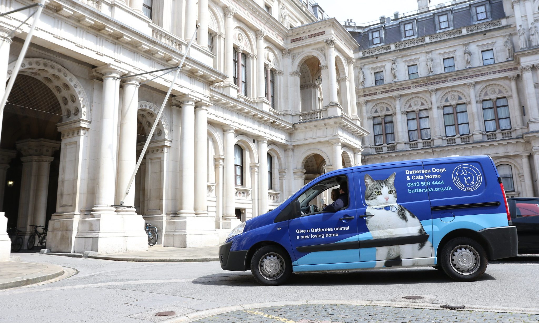 YuMove announced as event partner for Battersea’s Muddy Dog Challenge