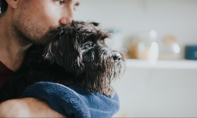 Butcher’s first TV commercial in five years to air during BGT