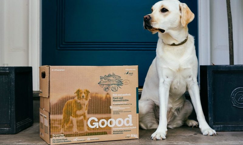 GooodUK partners with rhino conservation charity