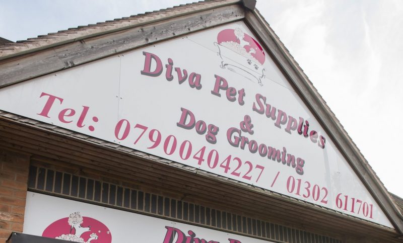 Diva Pets to invest in business with alternative funding