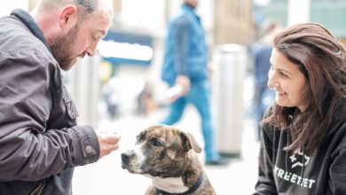 Webbox Natural increases work with StreetVet charity