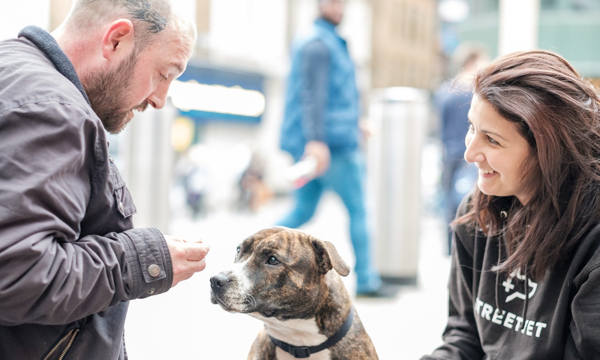 Webbox Natural increases work with StreetVet charity