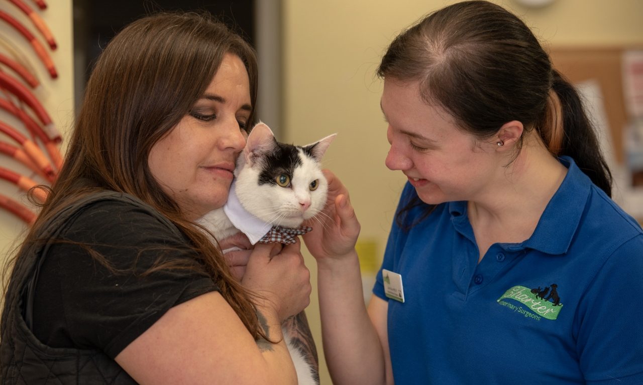 Cat undergoes ‘gender reassignment’ to save life