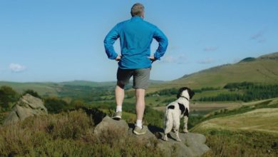 Fish4Dogs set to launch TV campaign