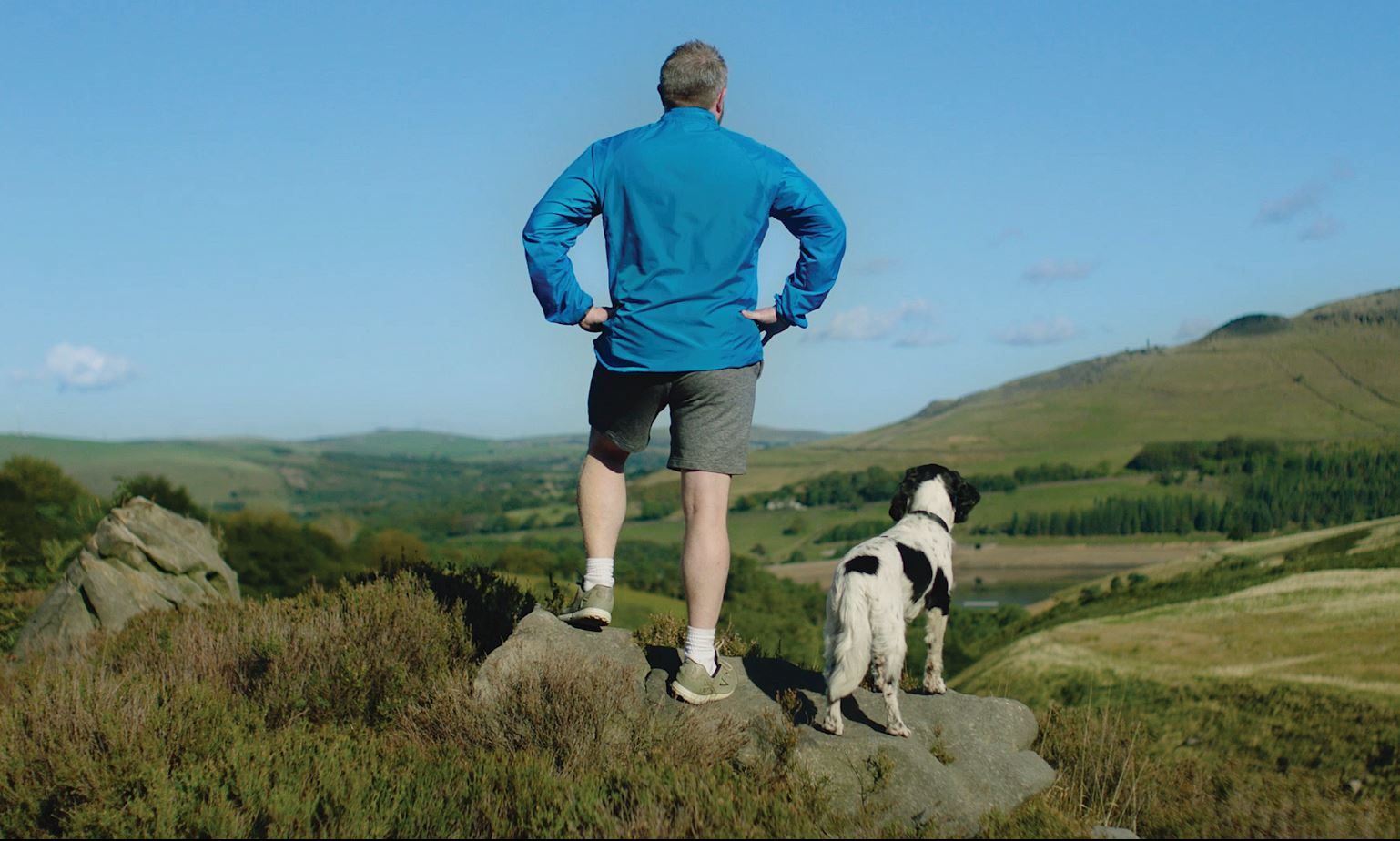 Fish4Dogs set to launch TV campaign