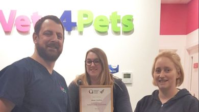 UK’s ‘first autism friendly’ vet practice launches