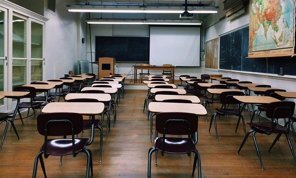 PIF launches new reptile and small mammal qualification