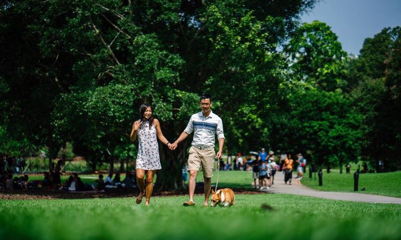 Millennial couples get puppies to ‘practice having babies’