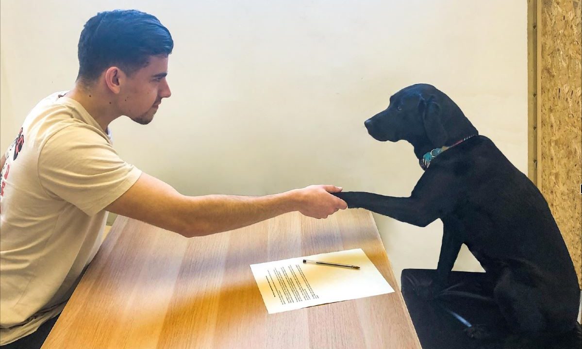 Beco Pets appoints first canine board member