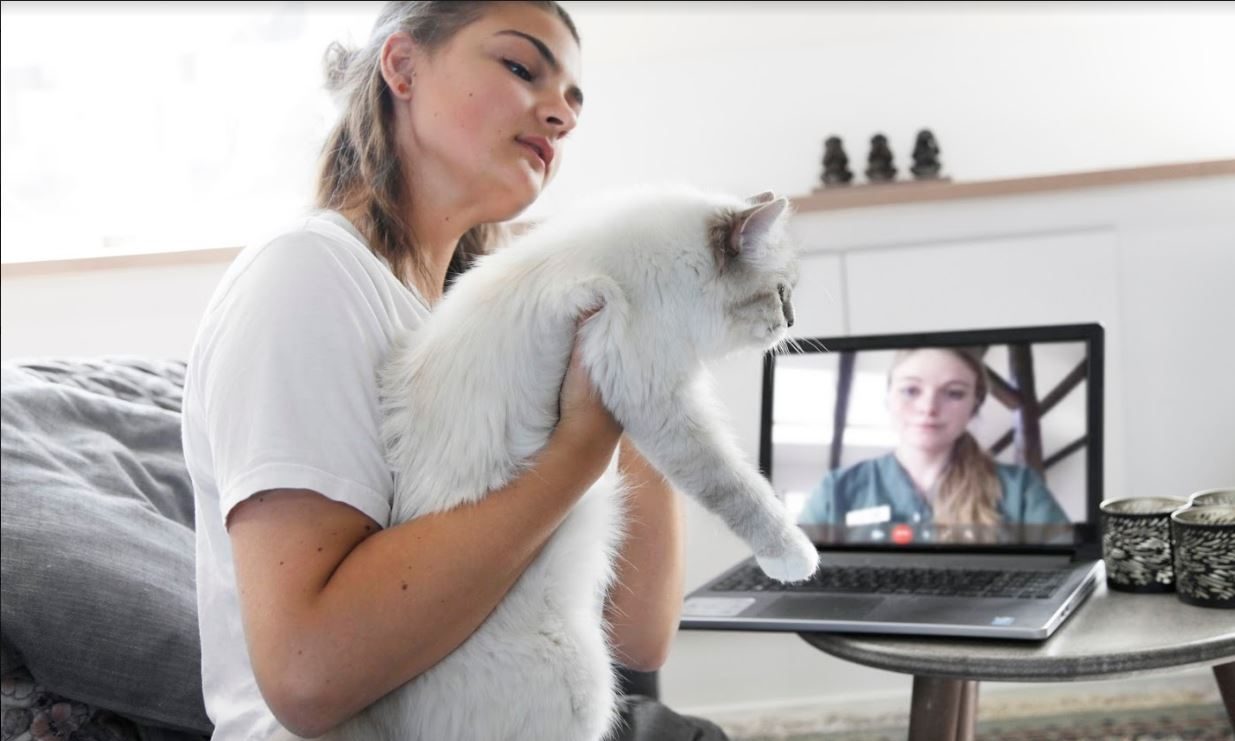 Video consultant FirstVet to launch in UK