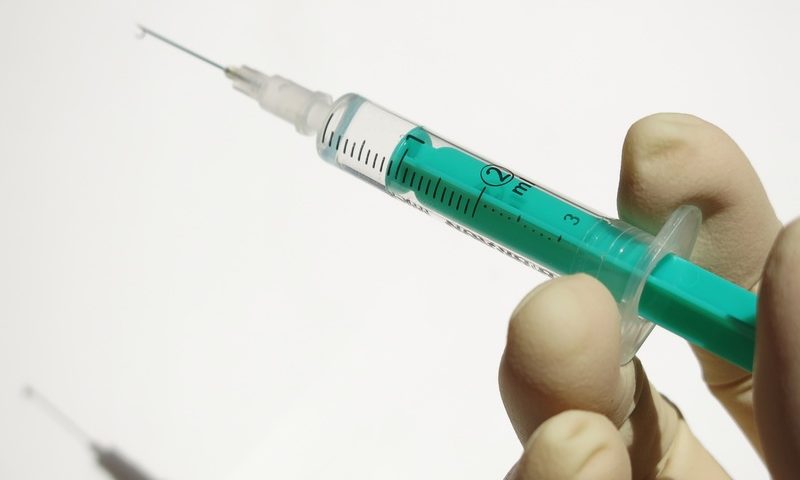 ‘Anti-vaxx’ sentiment creeping into pet care, warn vets