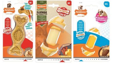 Nylabone launches new products for spring