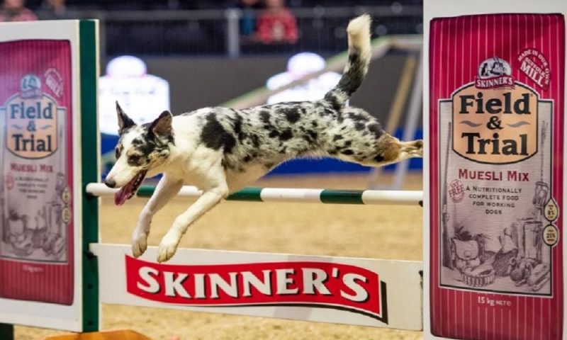 Skinner’s expands partnership with The Kennel Club