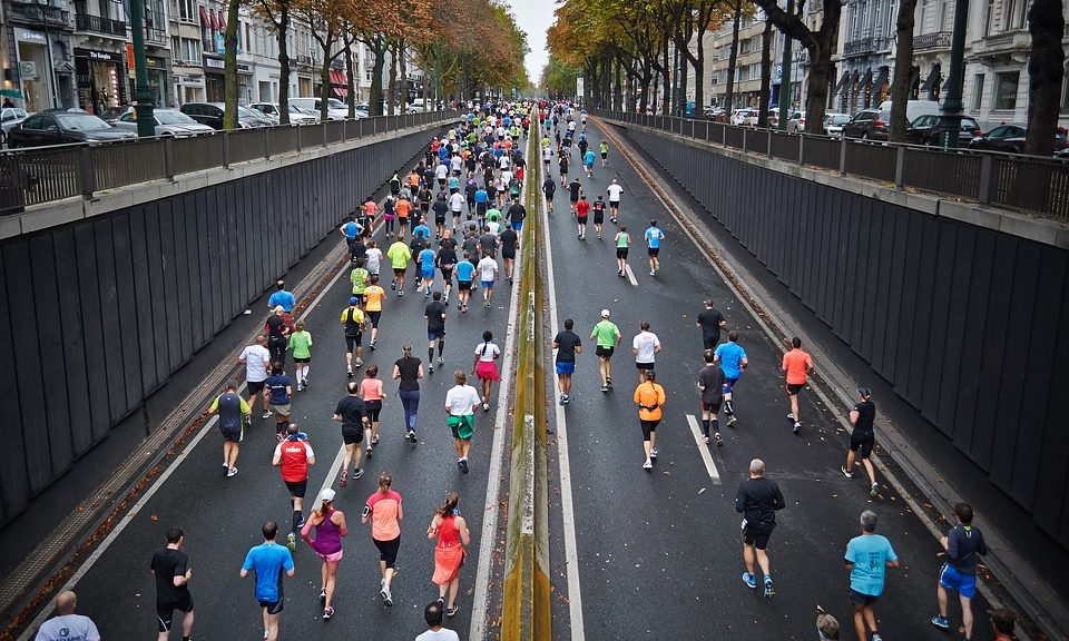 PDSA Dickin Medal dog owner to run marathon for charity