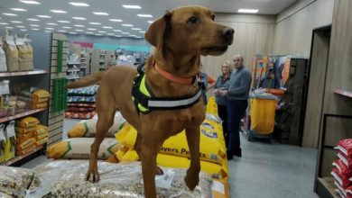 Pet shop helps global dog detection firm in war on drugs and terrorism