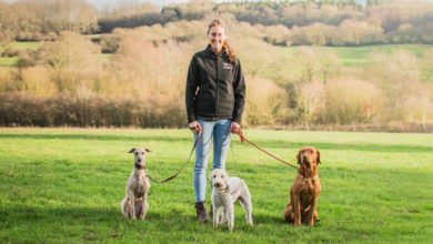 Teacher’s pet care business launches in Blackwood
