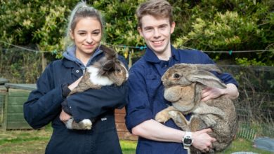 SRUC invests in new home for animal care in Aberdeen