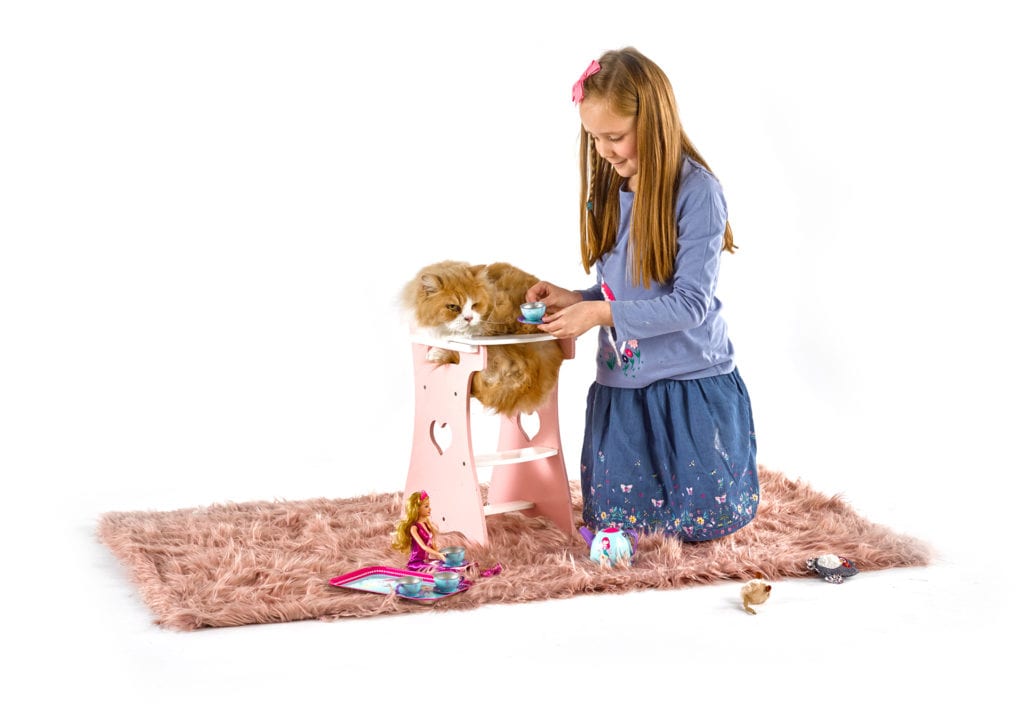 Webbox Natural celebrates ‘real pets’ with new campaign