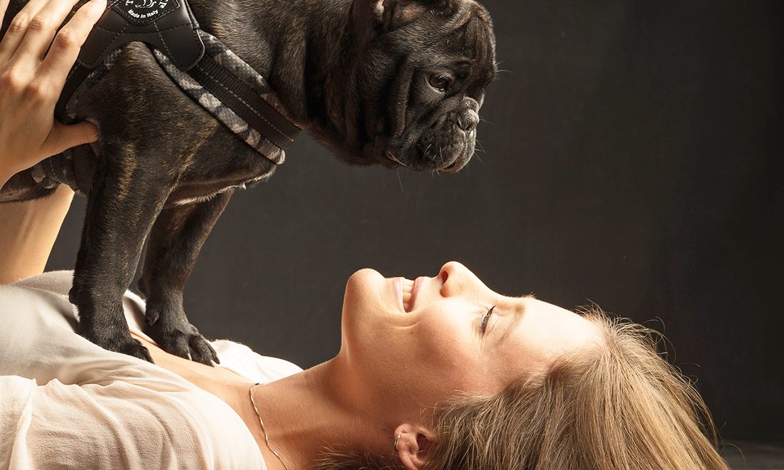 In Vogue Pets launches new harness range