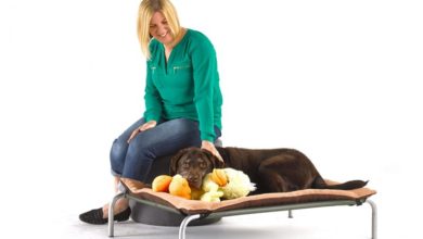 Webbox Natural celebrates ‘real pets’ with new campaign