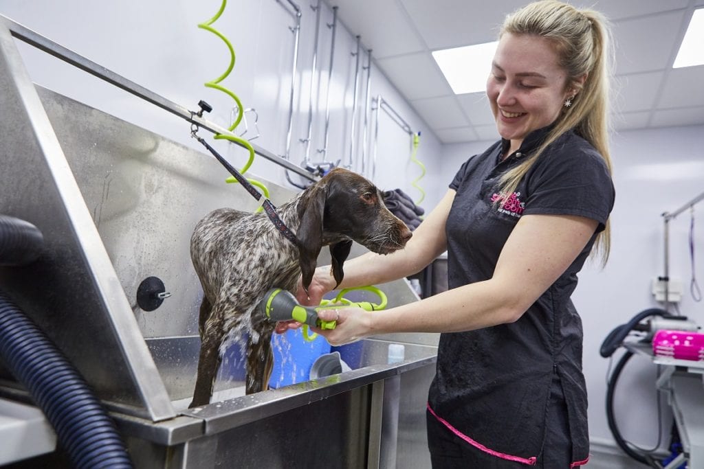 Pets at Home launches new ‘Store of the Future’
