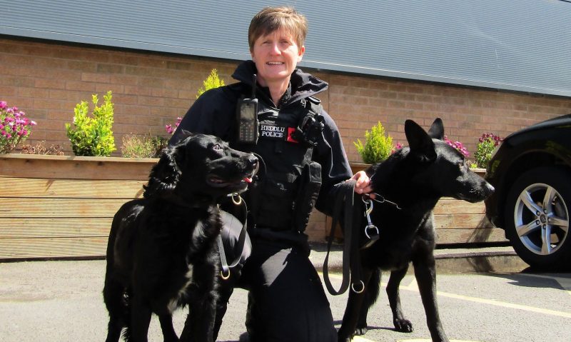 Pet retailer hosts events in aid of Paws off Duty