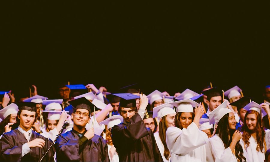 RCVS and VSC seeks input from graduate employers